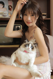 午夜向日葵影视在线观看
